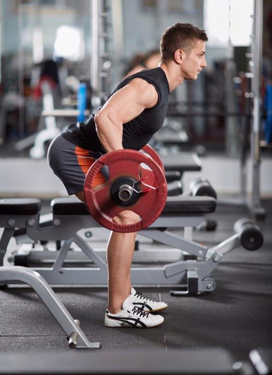 Bent Over Lateral Barbell Lat Raises