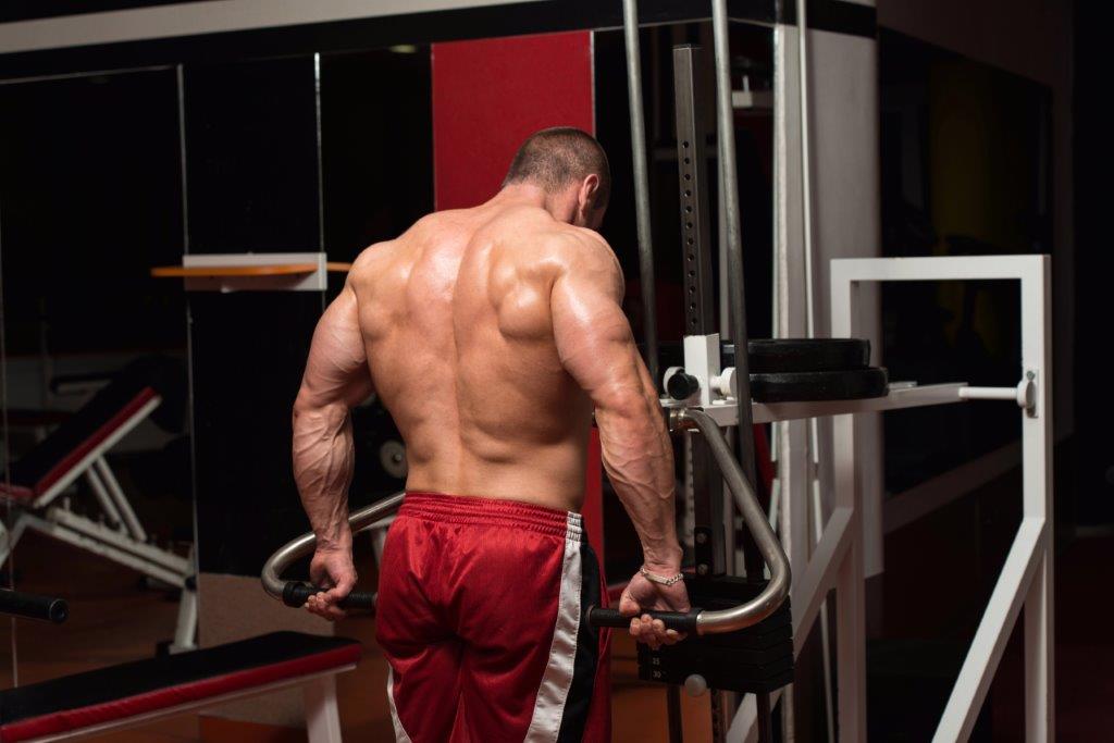 Shoulder Shrugs - Traps